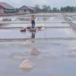 Kampot: Tuk Tuk Trip to Pepper Farm, Kep, Crab Market & More - What You Can Expect: Practical Details and Tips