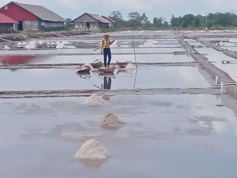 Kampot: Tuk Tuk Trip to Pepper Farm, Kep, Crab Market & More - What You Can Expect: Practical Details and Tips