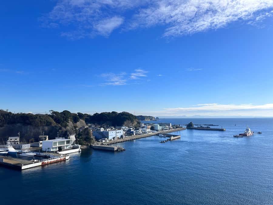Kanagawa: Jogashima Island Tour with Scenic Views - Practical Details and Value