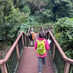 Kanagawa: Koajiro no Mori Forest Trek with Guide - Who Will Love This Tour?