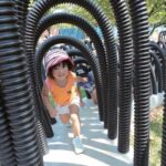 Kanagawa: Sagamiko Resort Pleasure Forest Admission Ticket - Final thoughts: Is it worth it?