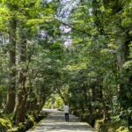 Kanazawa Day Tour Natadera Temple, Craft Village and Geisha Dance - Yunokuni-no-Mori Craft Village: Hands-On Cultural Fun