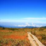 Kanazawa Day Tour: Shomyo Falls & Tateyama Mountain Walks - The Itinerary in Detail