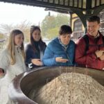 Kanazawa: Higashi Chaya District Guided Walking Tour - Exploring the Higashi Chaya District: What to Expect