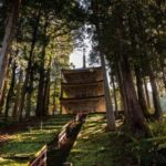 Kanazawa/Toyama: Spring Quartet of Flowers Day Tour - Transportation and Logistics