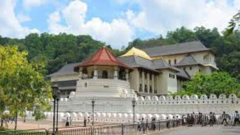 Kandy City Guided Day Trips by Laxury Car - Who Would Love This Tour?