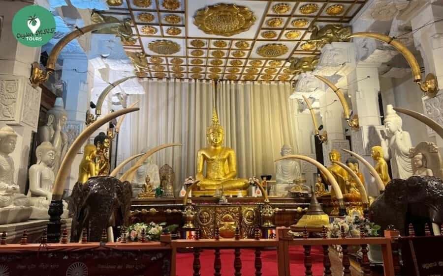 Kandy City Tour - Cultural Heart of Srilanka - The Practicalities