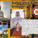 Kandy: City Tour with Temple of the Tooth & Tea Garden - An In-Depth Look at the Kandy Tour Experience