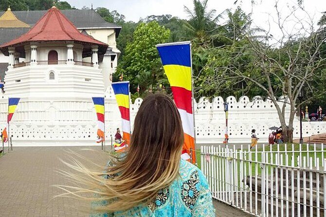 Kandy Day Trip: Colombo, Negombo, Bentota and Kalutara - The Sum Up