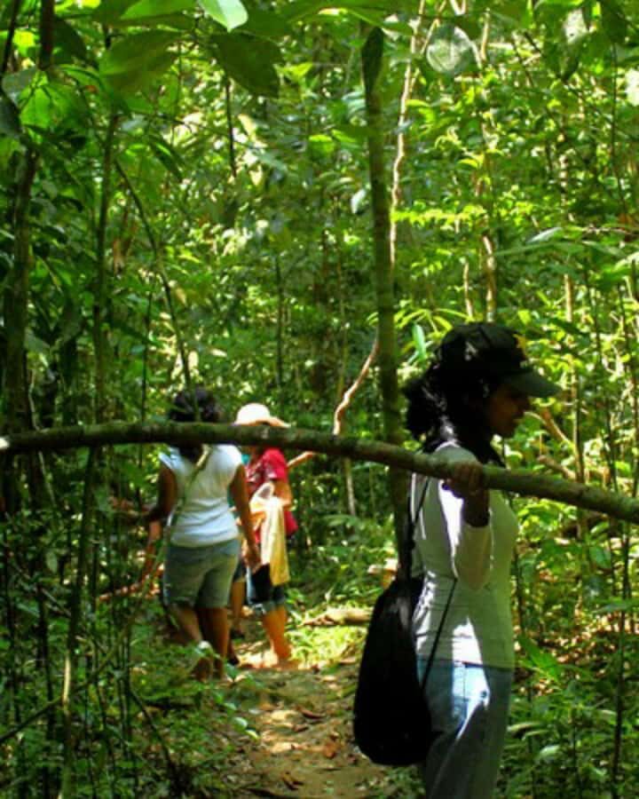 Kandy: Eco Village Tour with Cooking Program - Practical Details and Value