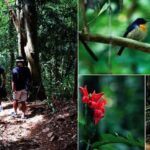 Kandy: Heritage and Architectural by Tuk Tuk - What to Expect and Practical Tips