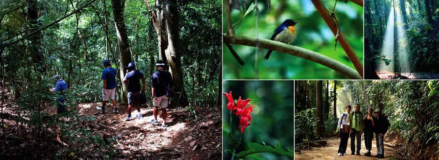 Kandy: Heritage and Architectural by Tuk Tuk - What to Expect and Practical Tips