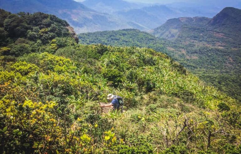 Kandy: Knuckles Mountain Range Hiking Tour with Lunch - What to Expect and Practical Tips
