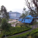 Kandy: Nuwara Eliya Day Explore by Tuk tuk with Local Guide - Who is This Tour Best For?