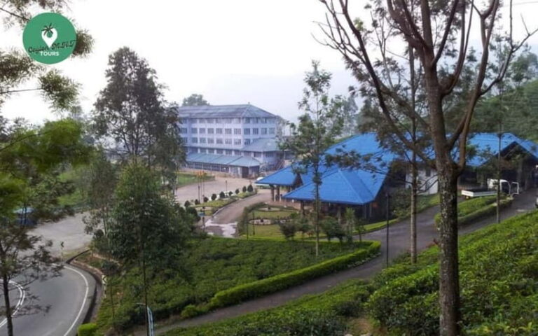 Kandy: Nuwara Eliya Day Explore by Tuk tuk with Local Guide - Who is This Tour Best For?