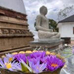 Kandy: Nuwara Eliya Secret & Historical Sightseeing Tour - Who Is This Tour Best For?