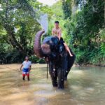Kandy: Pinnawala & Ambuluwawa Tuk Tuk Adventure - Authentic Insights from Reviewers