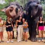 Kandy : Pinnawala Elephant Safari Tour with Kandy City Tour - Final Thoughts