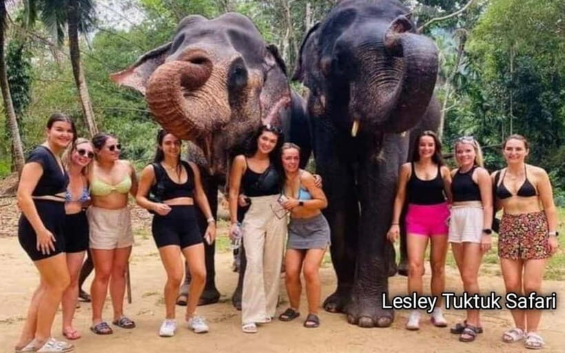 Kandy : Pinnawala Elephant Safari Tour with Kandy City Tour - Final Thoughts