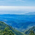 Kandy, Pinnawala Private Day Trip From The West Coast Beach - Spice and Herbal Gardens