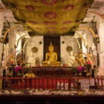 Kandy, Pinnawala & Tea Factory Full Day Tour From Colombo - The Practical Side: What to Expect and Tips