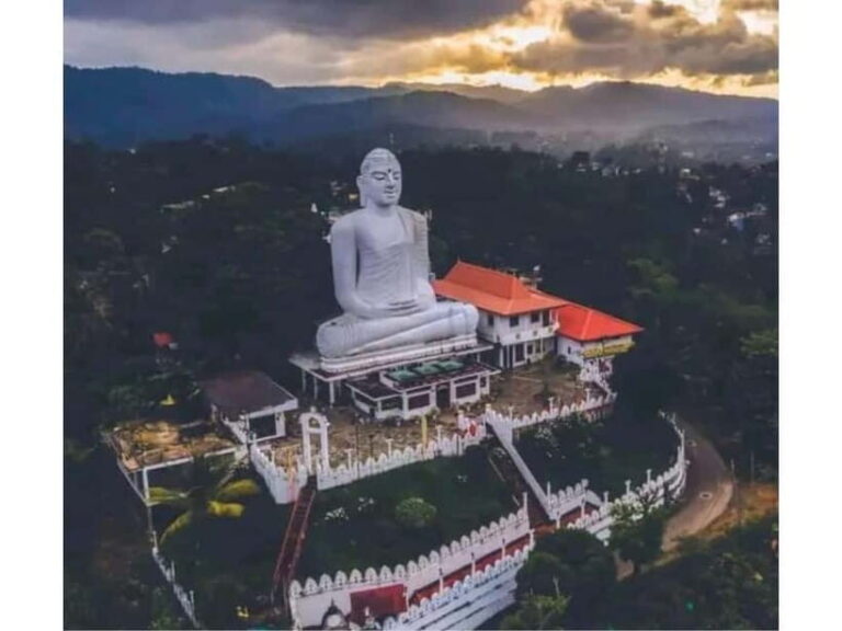 Kandy to Pinnawala Guided Day Tours by Local - Exploring the Full Itinerary
