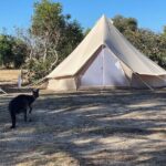 Kangaroo Island 2-Day Wildlife Adventure Small Group tour - A Closer Look at the Itinerary