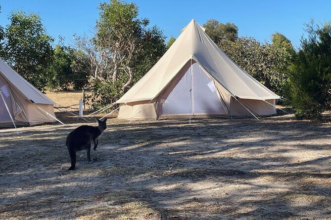 Kangaroo Island 2-Day Wildlife Adventure Small Group tour - A Closer Look at the Itinerary