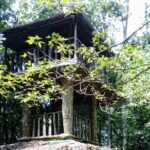 Kanneliya Rain Forest Tour - FAQs