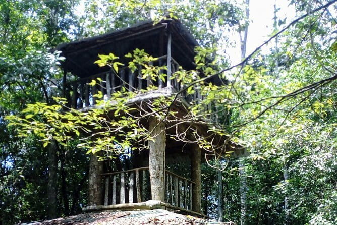 Kanneliya Rain Forest Tour - FAQs