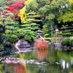Kansai Garden Day Trip with Tea Ceremony - Practical Details and Why They Matter