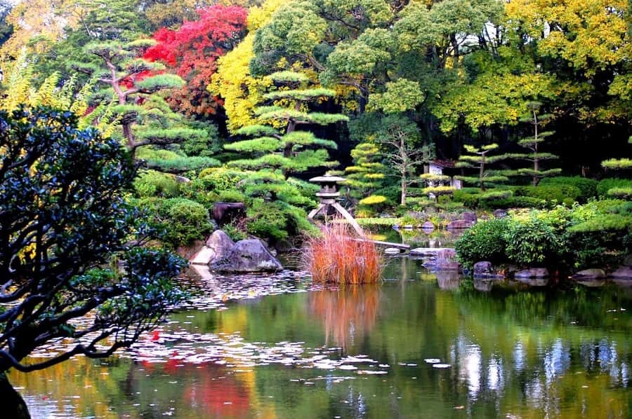 Kansai Garden Day Trip with Tea Ceremony - Practical Details and Why They Matter