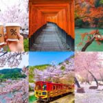 Kansai Region: Private Custom Highlights Tour with Pickup - Breaking Down the Itinerary