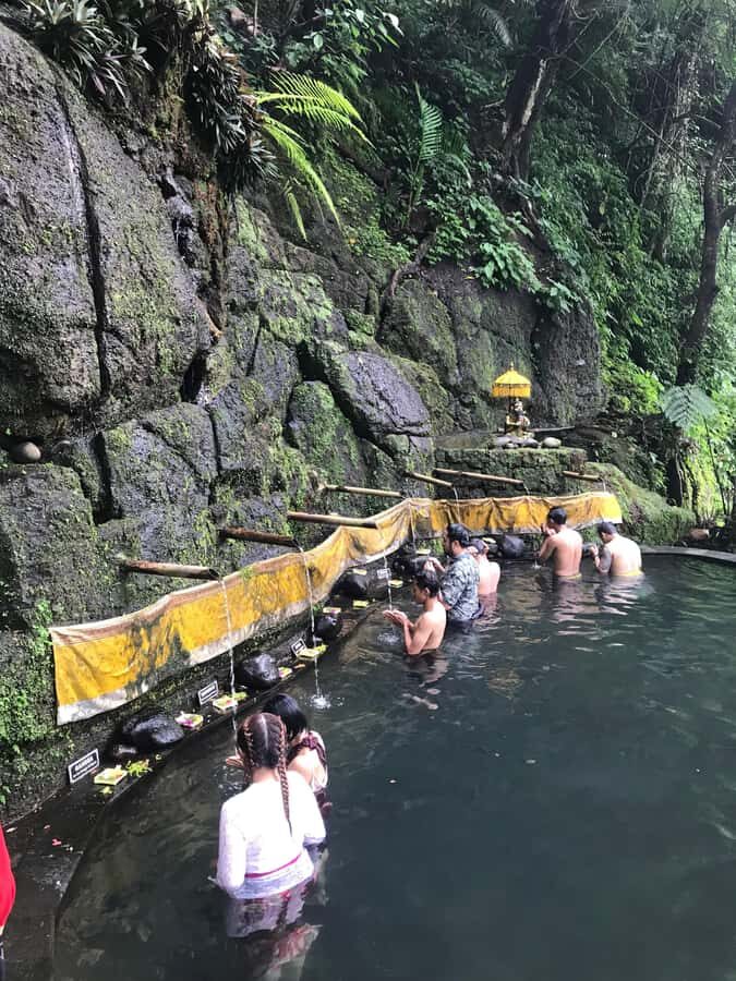 Karma Healing Journey in the Heart of Bali - What to Expect: A Deep Dive into the Experience