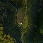 Kastala Tenganan Village Village Trekking - Who Will Love This Experience?