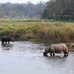 Kathmandu 2 Nights 3 Days Chitwan Jungle Safari Tour - Diving into the Experience