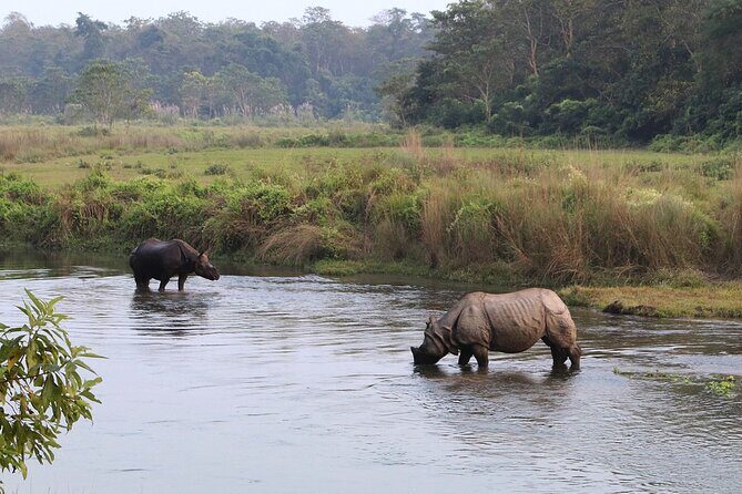 Kathmandu 2 Nights 3 Days Chitwan Jungle Safari Tour - Diving into the Experience