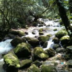 Kathmandu: 3 days Chispani Nagarkot Trek - Transport, Guides, and Value