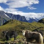 Kathmandu: 5-Day Mardi Himal Trek with Guide and Flights - Transport, Group Size, and Practical Tips