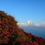 Kathmandu: 5-Day Muldai View Point Trek with Guide - What You’ll Love About the Experience