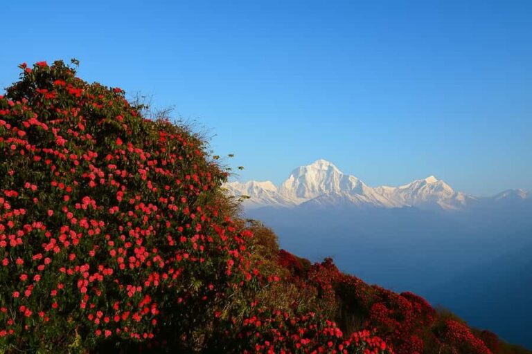 Kathmandu: 5-Day Muldai View Point Trek with Guide - What You’ll Love About the Experience