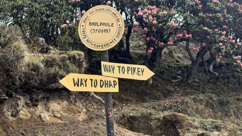 Kathmandu: 8-Day Pikey Hill Trek - Trekking Experience and Support