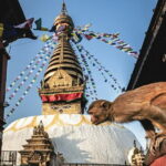 Kathmandu Bhaktapur Patan Authentic Local Tour +7 UNESCO WH Sites - Who Will Love This Tour?
