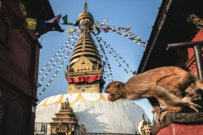Kathmandu Bhaktapur Patan Authentic Local Tour +7 UNESCO WH Sites - Who Will Love This Tour?