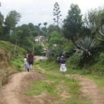 Kathmandu: Chisapani Nagarkot 3-Days 2-Nights Trek - A Comprehensive Look at the Kathmandu: Chisapani Nagarkot Trek