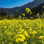 Kathmandu: Chitlang Day Tour, Wine Tasting and Short Hike - Who Should Consider This Tour?