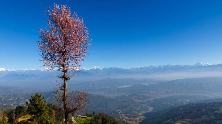 Kathmandu: Dhulikhel to Namobuddha Full-Day Guided Hike - The Trail: From Dhulikhel to Namobuddha