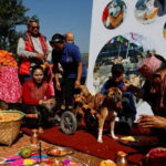 Kathmandu: Kukur Tihar Festival Tour with Local Family - What’s Included & What to Consider