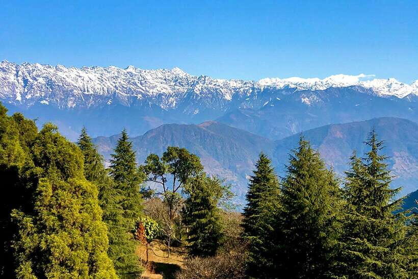 Kathmandu: Shivapuri Day Hike with Lunch - Why This Tour Is Worth It