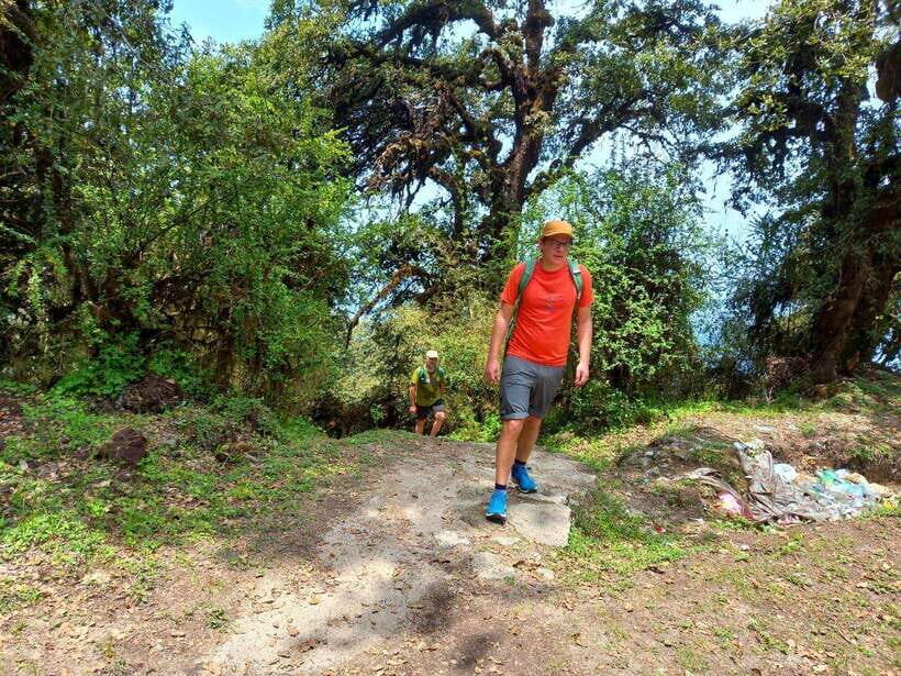 Kathmandu: Shivapuri Day Hike with Lunch - A Deep Dive into the Shivapuri Day Hike Experience